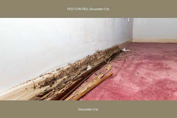 PEST CONTROL Gloucester City